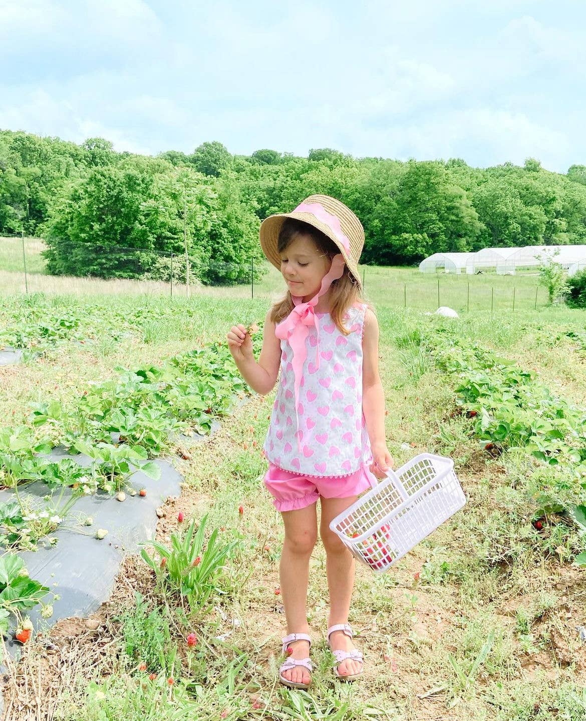 Harbor Hat, Pink (Youth)