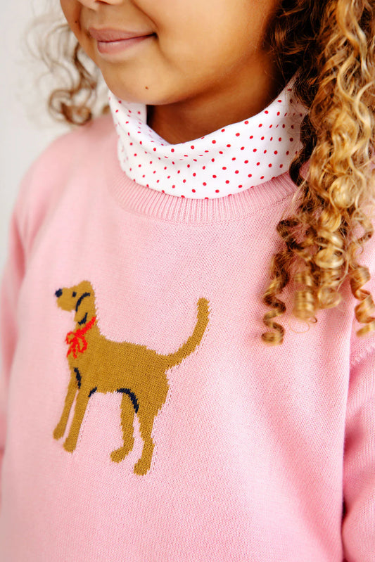 Isabelle's Intarsia Sweater - Pink Dog